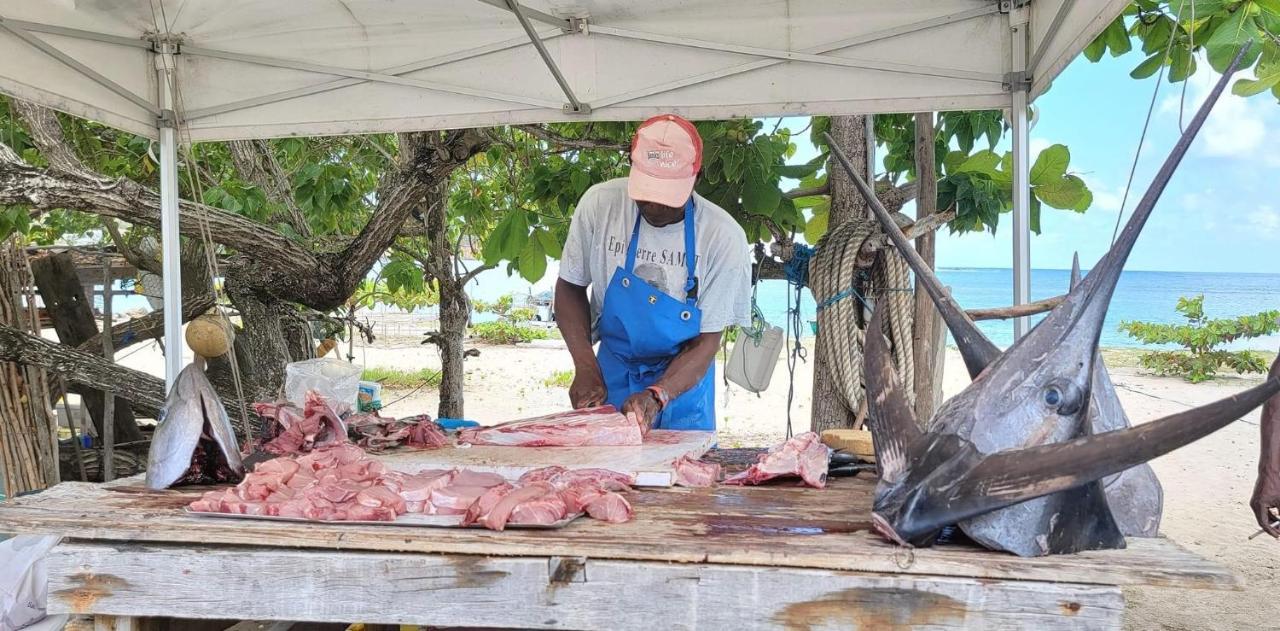 Studio Ana Martinique La Trinité Kültér fotó
